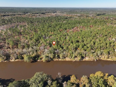 1.08 MOL AC Old HWY 24 Parcel 22 - photo 7