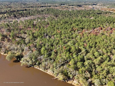 1.07 MOL AC Old HWY 24 Parcel 25 - photo 2