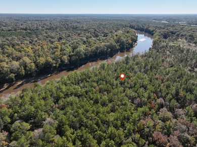 1.07 MOL AC Old HWY 24 Parcel 25 - photo 5