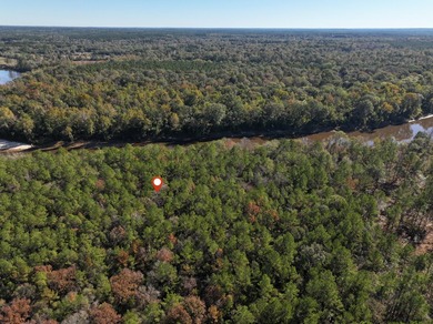 1.07 MOL AC Old HWY 24 Parcel 25 - photo 6
