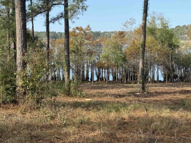 Lake Sam Rayburn  Lot For Sale in Broaddus Texas