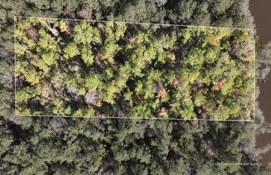 (private lake, pond, coastal) Lot For Sale in Mc Lain Mississippi