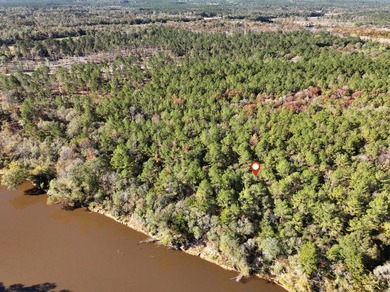 1.08 MOL AC Old HWY 24 Parcel 26 - photo 3