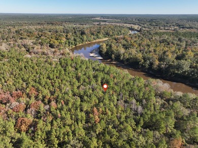 1.08 MOL AC Old HWY 24 Parcel 26 - photo 4