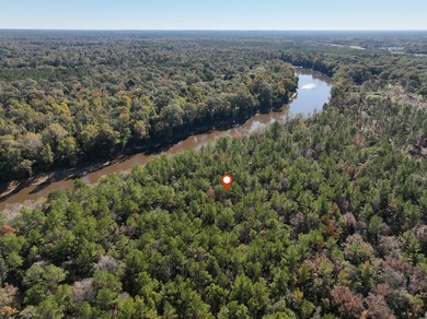 1.08 MOL AC Old HWY 24 Parcel 26 - photo 5
