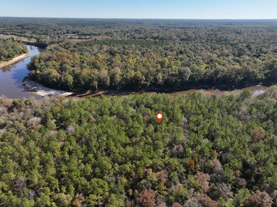 1.08 MOL AC Old HWY 24 Parcel 26 - photo 6