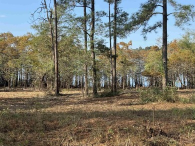 Lake Sam Rayburn  Lot For Sale in Broaddus Texas