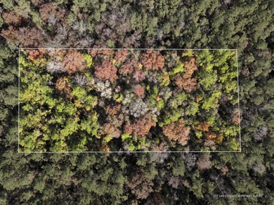 Leaf River Lot For Sale in Mc Lain Mississippi