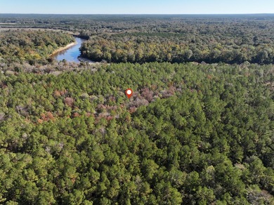 1.08 MOL AC Old HWY 24 Parcel 27 - photo 4