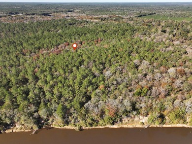 1.08 MOL AC Old HWY 24 Parcel 27 - photo 7