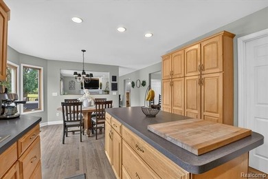 Spacious Fenton home with Hartland Schools set on 2.83 rolling - photo 7