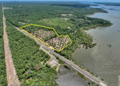 Lake Sam Rayburn  Lot For Sale in Broaddus Texas