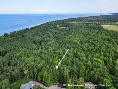 Lake Lot For Sale in Fennville, Michigan