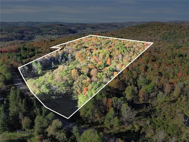 Lake Acreage For Sale in Cooperstown, New York
