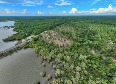 Lake Sam Rayburn  Acreage For Sale in Broaddus Texas