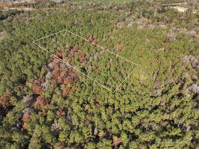 1.08 MOL AC Old HWY 24 Parcel 28 - photo 2