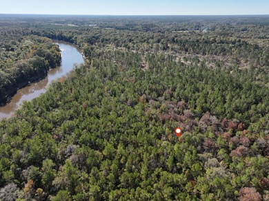 1.08 MOL AC Old HWY 24 Parcel 28 - photo 3