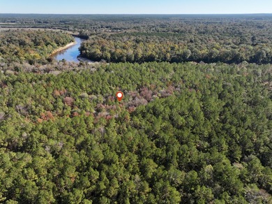 1.08 MOL AC Old HWY 24 Parcel 28 - photo 4