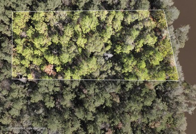 (private lake, pond, coastal) Lot For Sale in Mc Lain Mississippi