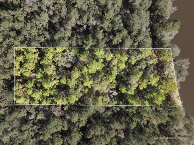 (private lake, pond, coastal) Lot For Sale in Mc Lain Mississippi