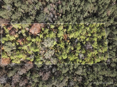 Leaf River Lot For Sale in Mc Lain Mississippi