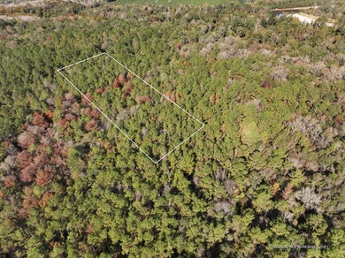 1.08 MOL AC Old HWY 24 Parcel 31 - photo 2