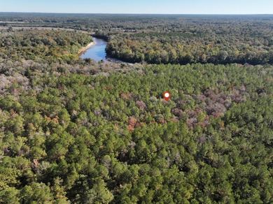 1.08 MOL AC Old HWY 24 Parcel 31 - photo 3