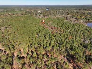 1.08 MOL AC Old HWY 24 Parcel 31 - photo 5