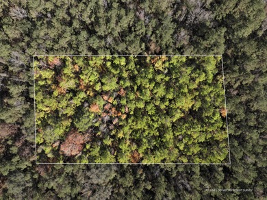 Leaf River Lot For Sale in Mc Lain Mississippi