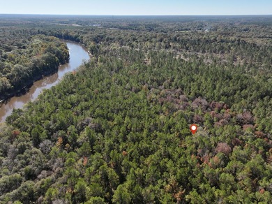 1.08 MOL AC Old HWY 24 Parcel 32 - photo 3