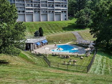 RARE OPPORTUNITY TO PURCHASE A BEAUTIFUL, SUN-SPLASHED - photo 33
