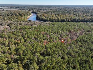 1.08 MOL AC Old HWY 24 Parcel 32 - photo 4