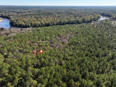 1.08 MOL AC Old HWY 24 Parcel 32 - photo 5