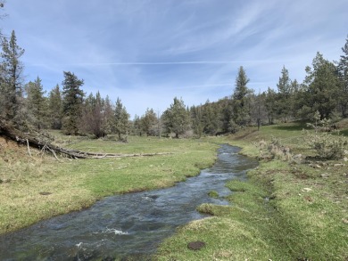 (private lake, pond, creek) Acreage For Sale in Spray Oregon