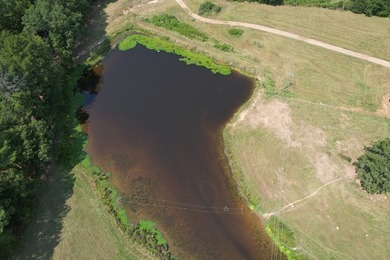 This 44.19 acres offers pretty, open pasture land with gently - photo 2
