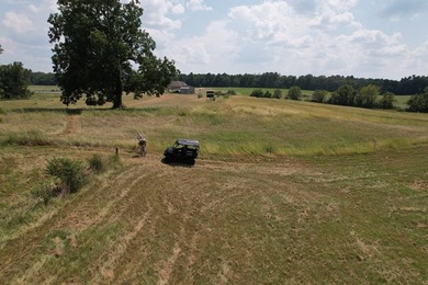 This 44.19 acres offers pretty, open pasture land with gently - photo 4