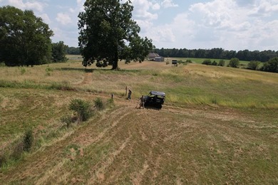 This 44.19 acres offers pretty, open pasture land with gently - photo 5