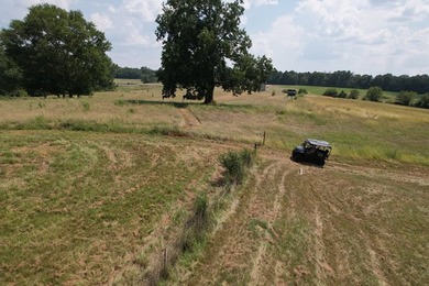 This 44.19 acres offers pretty, open pasture land with gently - photo 6