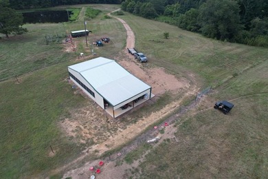 This 44.19 acres offers pretty, open pasture land with gently - photo 7