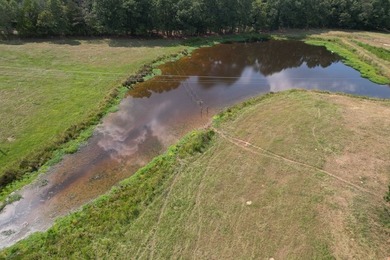 This 44.19 acres offers pretty, open pasture land with gently - photo 8