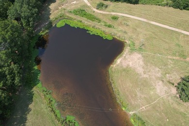 This 44.19 acres offers pretty, open pasture land with gently - photo 10