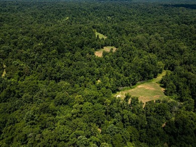 (private lake, pond, coastal) Acreage Sale Pending in Port Gibson Mississippi