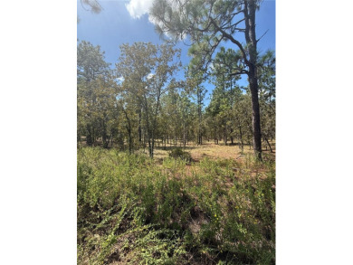 Lake Lot For Sale in Dunnellon, Florida