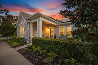 (private lake, pond, creek) Home For Sale in Lithia Florida