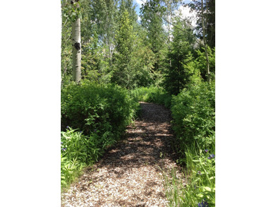Just 5 minutes from downtown Ketchum, this property is the - photo 28
