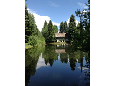 Just 5 minutes from downtown Ketchum, this property is the - photo 29