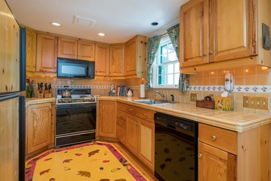 Just 5 minutes from downtown Ketchum, this property is the - photo 32