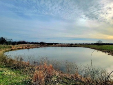 (private lake, pond, creek) Acreage For Sale in Lone Oak Texas