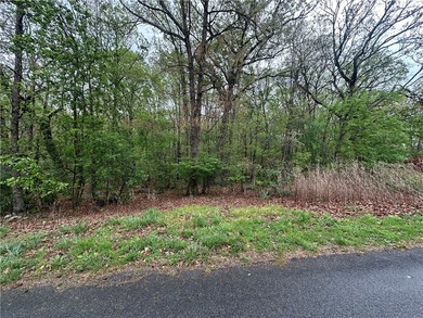 Build your dream home on this exceptional lot featuring SEWER - photo 2