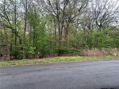 Build your dream home on this exceptional lot featuring SEWER - photo 3